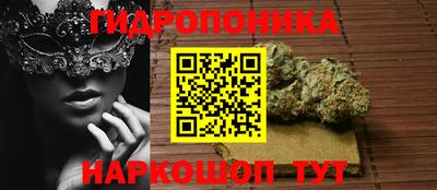 прущие грибы Абинск