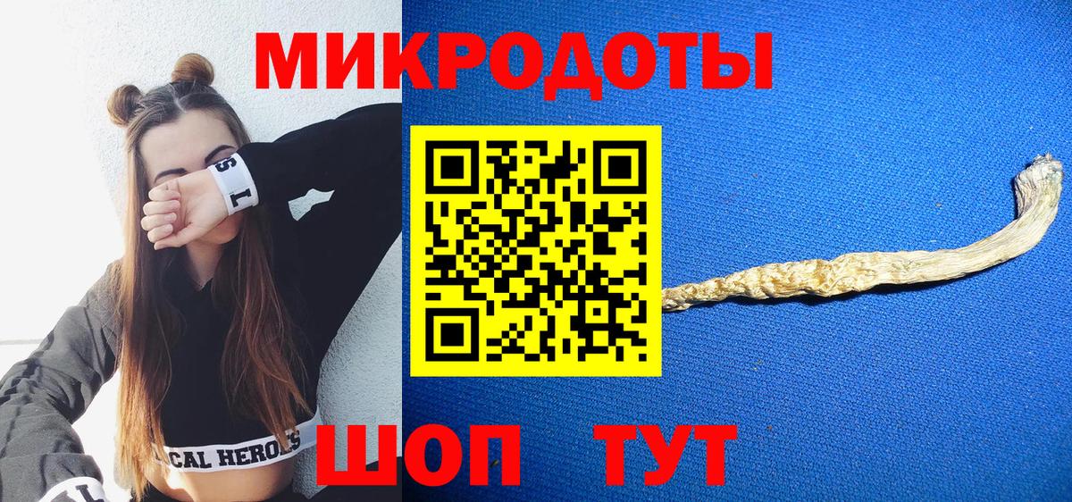 Алатырь  Псилоцибиновые грибы Psilocybe  Вход с VPN 